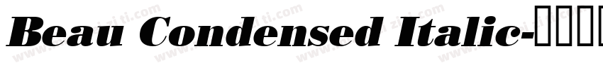Beau Condensed Italic字体转换